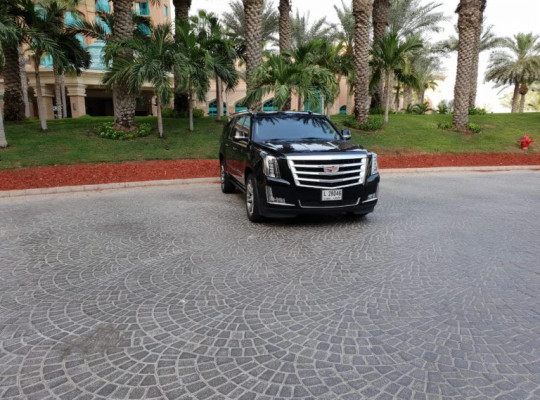 Why You Need to Hire Professional Chauffeurs in Dubai?